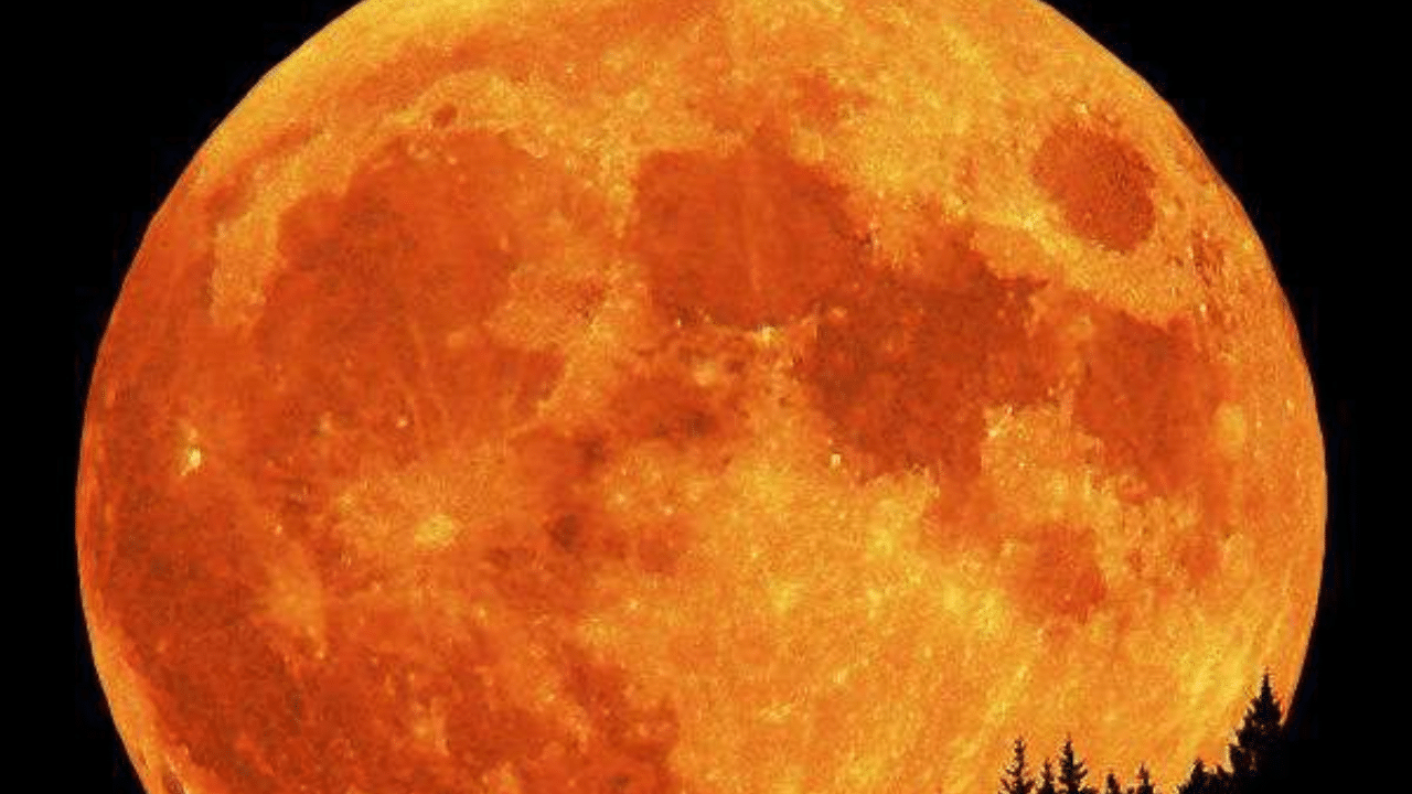 వేటగాడి చంద్రుడు