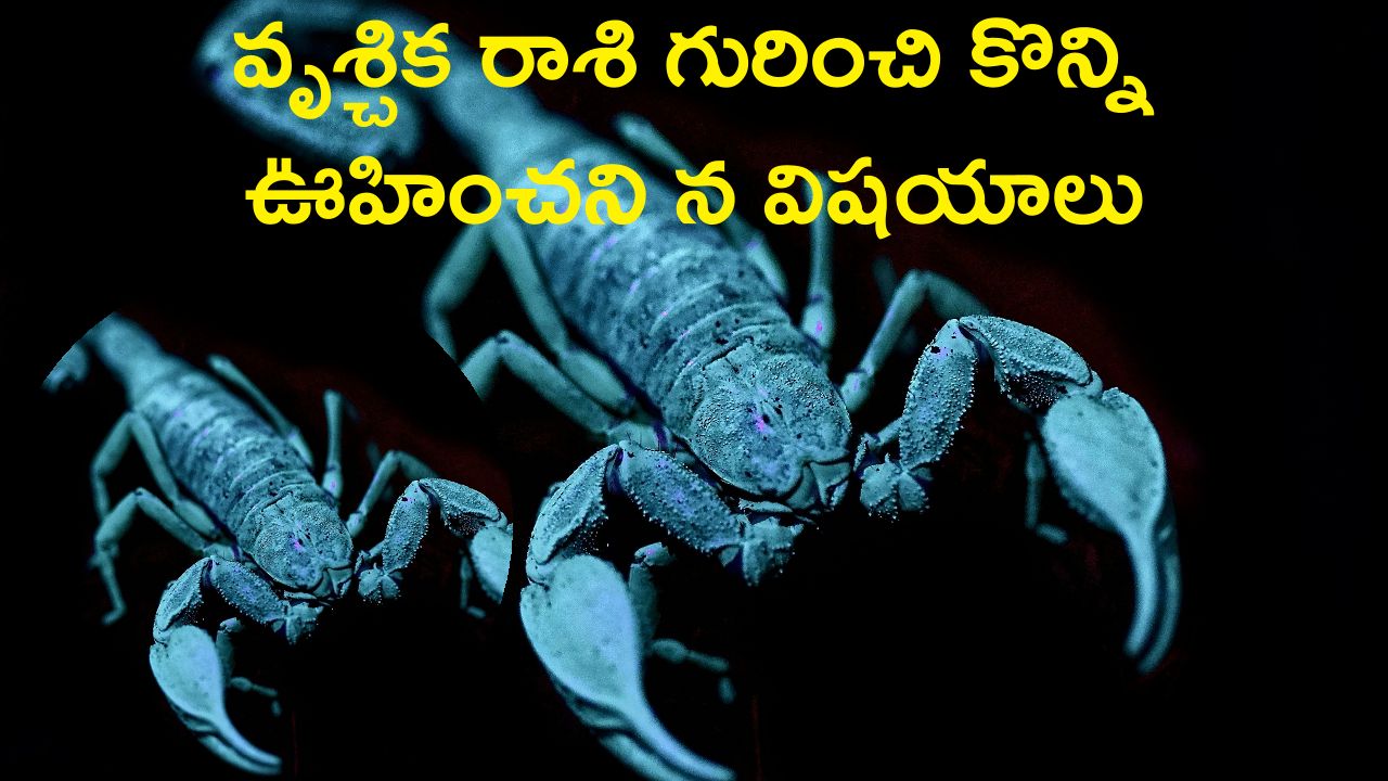 వృశ్చిక రాశి